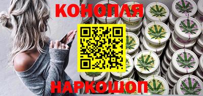 шишки Гагарин