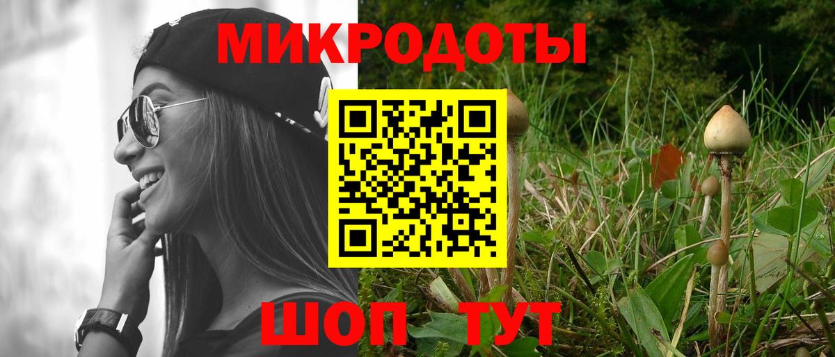 Галлюциногенные грибы Magic Shrooms  Вход с VPN  Галлюциногенные грибы MAGIC MUSHROOMS  Мурино 